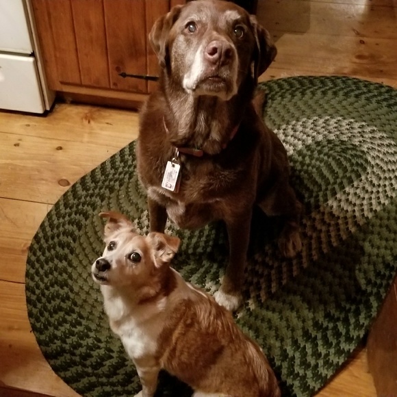 🍻🥂 now accepting offers on bundles - Picture 5 of 17